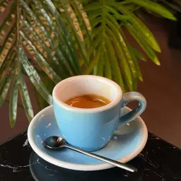 إسبريسو عادي